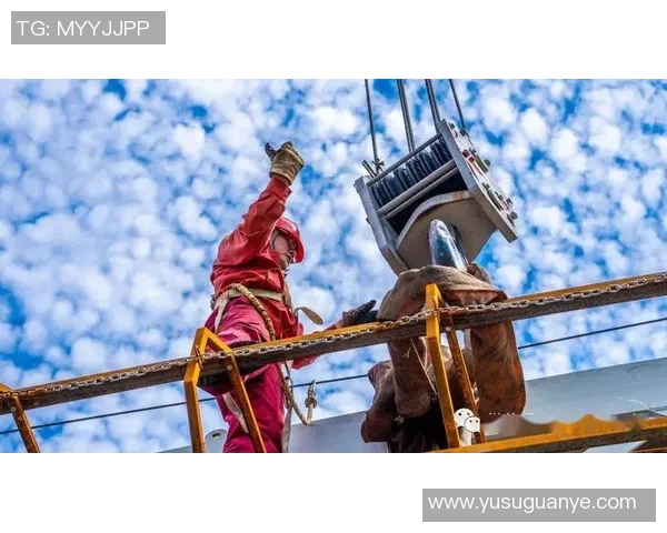 张帆的奋斗历程与成长故事展现了新时代青年追梦的勇气与坚持